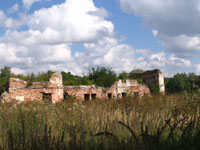 руины костела бернардинок
